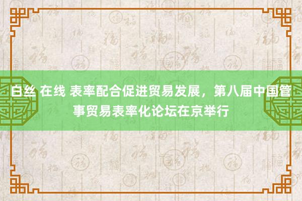 白丝 在线 表率配合促进贸易发展，第八届中国管事贸易表率化论坛在京举行