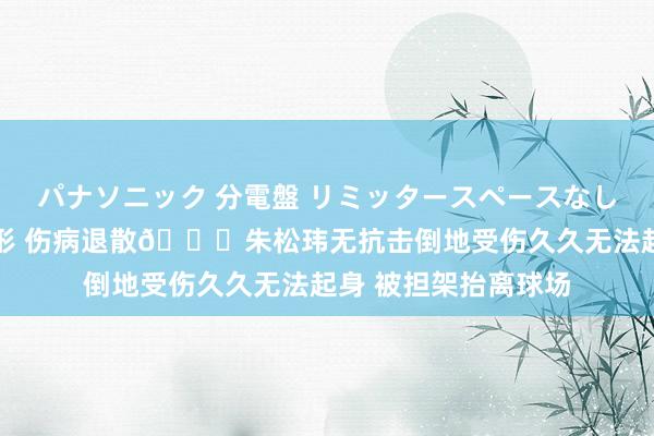 パナソニック 分電盤 リミッタースペースなし 露出・半埋込両用形 伤病退散🙏朱松玮无抗击倒地受伤久久无法起身 被担架抬离球场