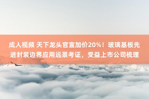 成人视频 天下龙头官宣加价20%！玻璃基板先进封装边界应用远景考证，受益上市公司梳理