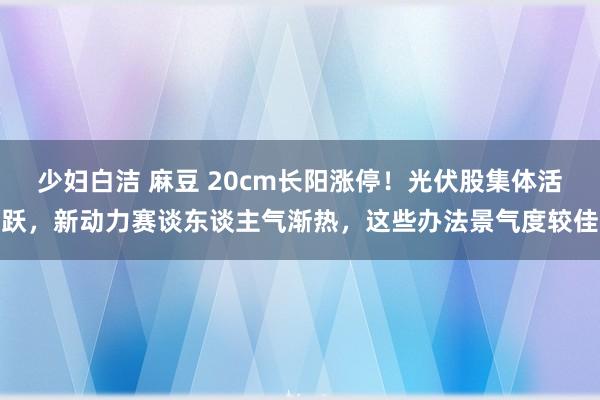 少妇白洁 麻豆 20cm长阳涨停！光伏股集体活跃，新动力赛谈东谈主气渐热，这些办法景气度较佳