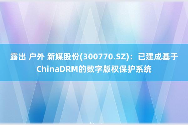 露出 户外 新媒股份(300770.SZ)：已建成基于ChinaDRM的数字版权保护系统