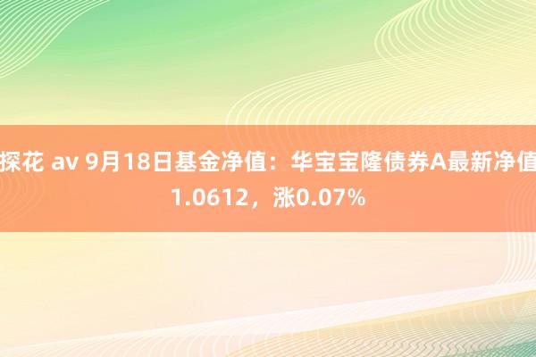 探花 av 9月18日基金净值：华宝宝隆债券A最新净值1.0612，涨0.07%