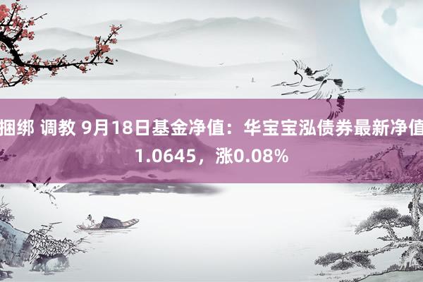 捆绑 调教 9月18日基金净值：华宝宝泓债券最新净值1.0645，涨0.08%