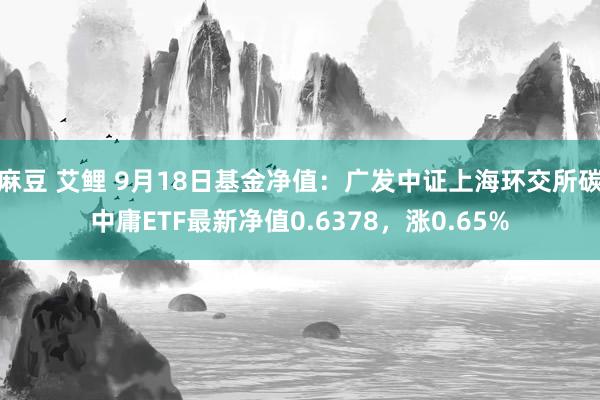 麻豆 艾鲤 9月18日基金净值：广发中证上海环交所碳中庸ETF最新净值0.6378，涨0.65%