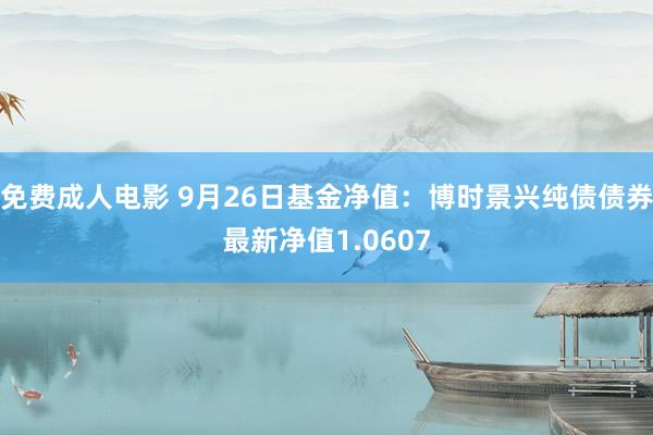 免费成人电影 9月26日基金净值：博时景兴纯债债券最新净值1.0607