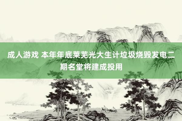 成人游戏 本年年底莱芜光大生计垃圾烧毁发电二期名堂将建成投用