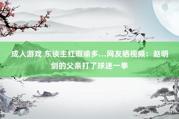 成人游戏 东谈主红瑕瑜多...网友晒视频：赵明剑的父亲打了球迷一拳