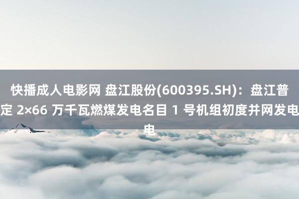 快播成人电影网 盘江股份(600395.SH)：盘江普定 2×66 万千瓦燃煤发电名目 1 号机组初度并网发电