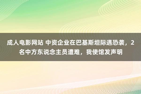 成人电影网站 中资企业在巴基斯坦际遇恐袭，2名中方东说念主员遭难，我使馆发声明