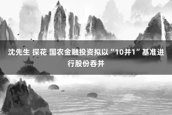 沈先生 探花 国农金融投资拟以“10并1”基准进行股份吞并