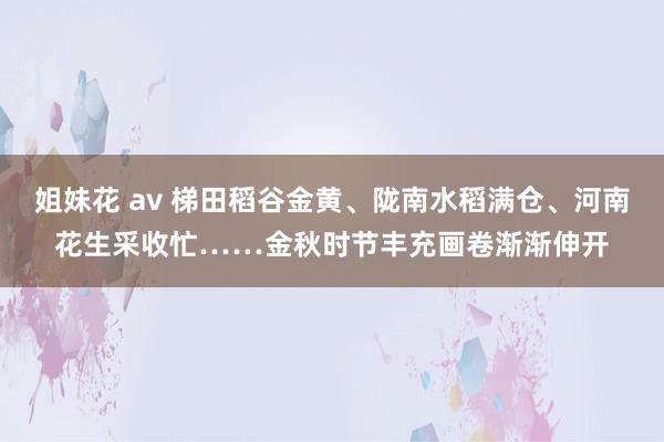 姐妹花 av 梯田稻谷金黄、陇南水稻满仓、河南花生采收忙……金秋时节丰充画卷渐渐伸开