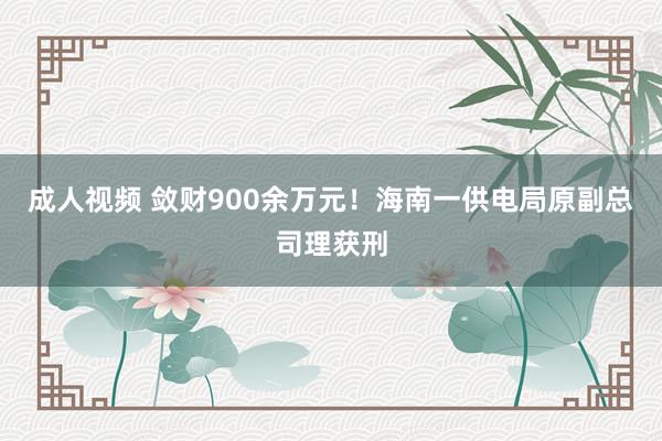 成人视频 敛财900余万元！海南一供电局原副总司理获刑