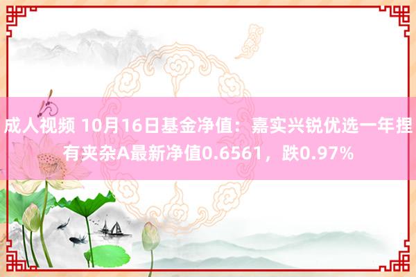 成人视频 10月16日基金净值：嘉实兴锐优选一年捏有夹杂A最新净值0.6561，跌0.97%