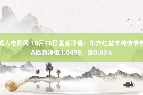 成人电影网 10月16日基金净值：东方红益丰纯债债券A最新净值1.0498，涨0.03%