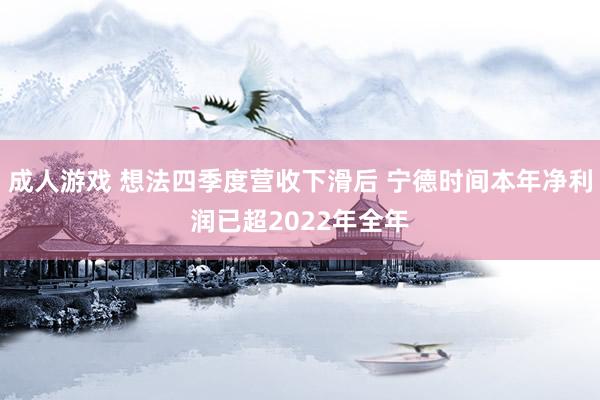 成人游戏 想法四季度营收下滑后 宁德时间本年净利润已超2022年全年