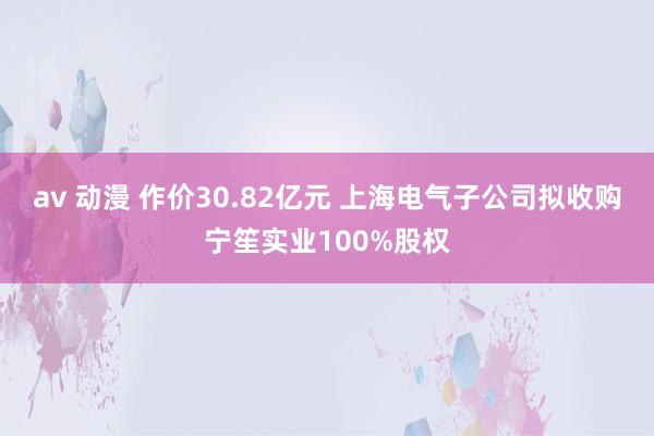 av 动漫 作价30.82亿元 上海电气子公司拟收购宁笙实业100%股权