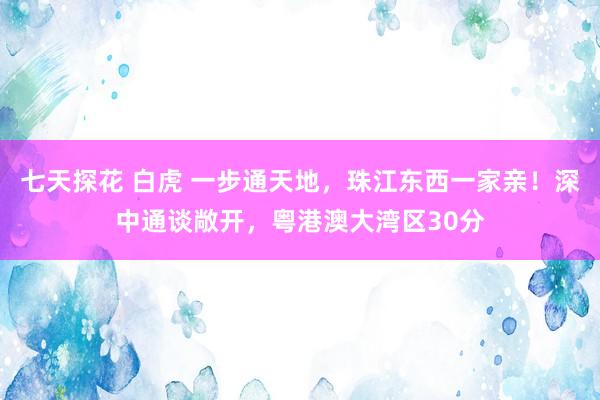 七天探花 白虎 一步通天地，珠江东西一家亲！深中通谈敞开，粤港澳大湾区30分