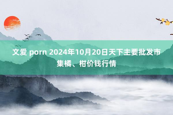 文爱 porn 2024年10月20日天下主要批发市集橘、柑价钱行情