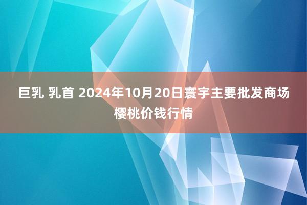 巨乳 乳首 2024年10月20日寰宇主要批发商场樱桃价钱行情