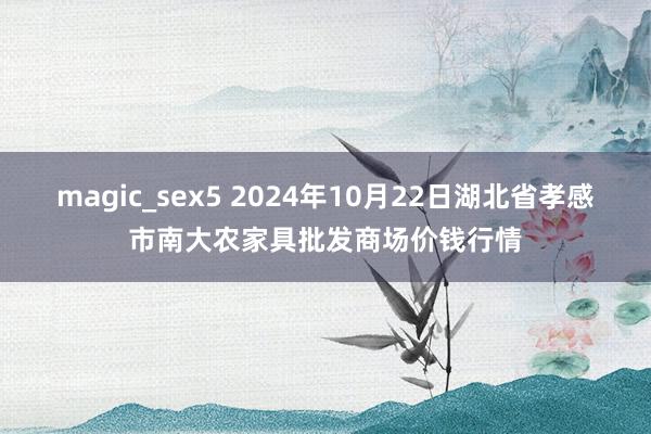 magic_sex5 2024年10月22日湖北省孝感市南大农家具批发商场价钱行情