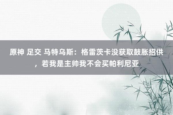 原神 足交 马特乌斯：格雷茨卡没获取鼓胀招供，若我是主帅我不会买帕利尼亚