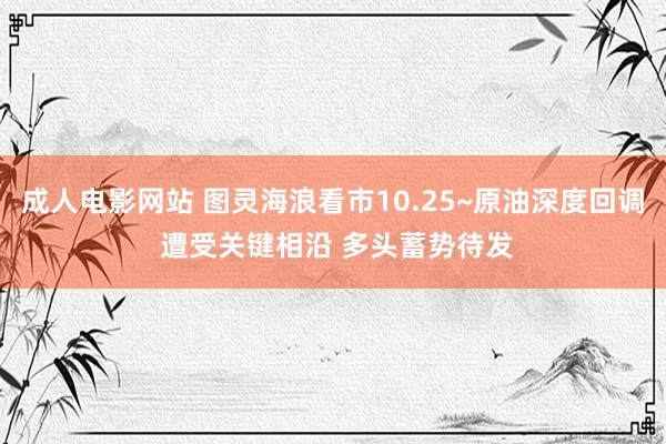 成人电影网站 图灵海浪看市10.25~原油深度回调 遭受关键相沿 多头蓄势待发