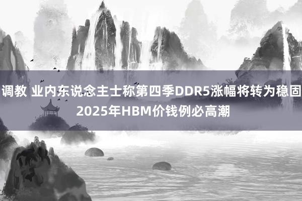 调教 业内东说念主士称第四季DDR5涨幅将转为稳固 2025年HBM价钱例必高潮