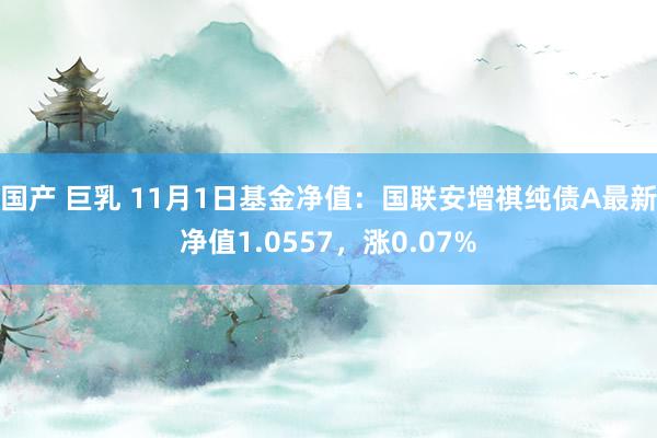 国产 巨乳 11月1日基金净值：国联安增祺纯债A最新净值1.0557，涨0.07%