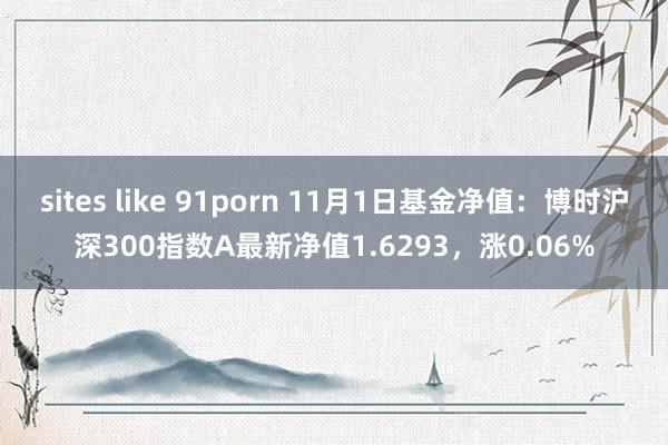 sites like 91porn 11月1日基金净值：博时沪深300指数A最新净值1.6293，涨0.06%