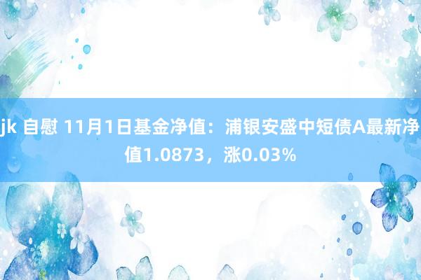 jk 自慰 11月1日基金净值：浦银安盛中短债A最新净值1.0873，涨0.03%