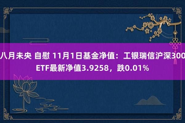 八月未央 自慰 11月1日基金净值：工银瑞信沪深300ETF最新净值3.9258，跌0.01%