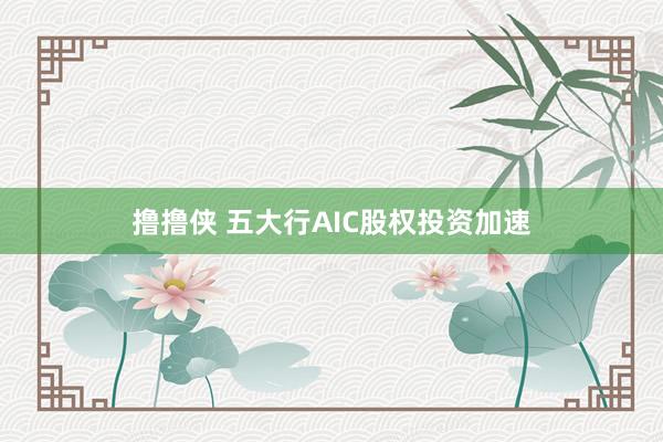 撸撸侠 五大行AIC股权投资加速