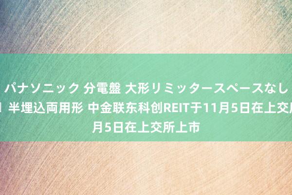 パナソニック 分電盤 大形リミッタースペースなし 露出・半埋込両用形 中金联东科创REIT于11月5日在上交所上市