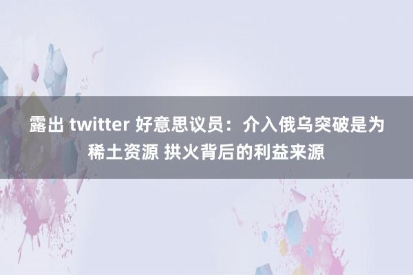 露出 twitter 好意思议员：介入俄乌突破是为稀土资源 拱火背后的利益来源