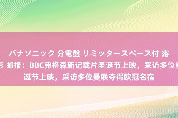 パナソニック 分電盤 リミッタースペース付 露出・半埋込両用形 邮报：BBC弗格森新记载片圣诞节上映，采访多位曼联夺得欧冠名宿