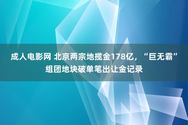 成人电影网 北京两宗地揽金178亿，“巨无霸”组团地块破单笔出让金记录