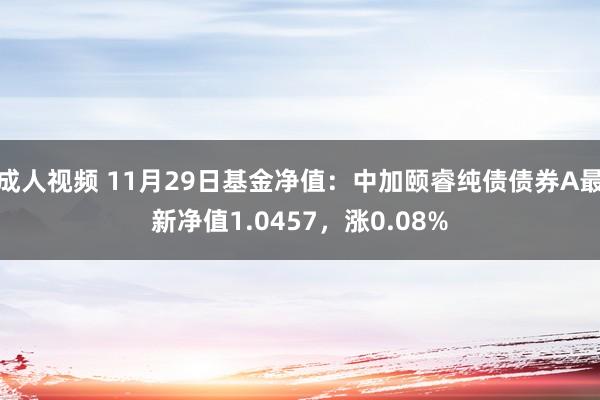 成人视频 11月29日基金净值：中加颐睿纯债债券A最新净值1.0457，涨0.08%