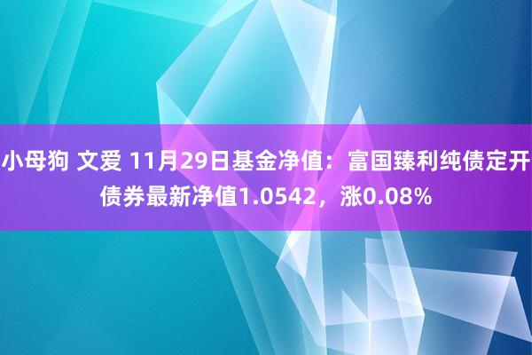 小母狗 文爱 11月29日基金净值：富国臻利纯债定开债券最新净值1.0542，涨0.08%