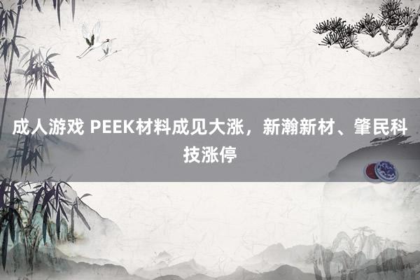 成人游戏 PEEK材料成见大涨，新瀚新材、肇民科技涨停