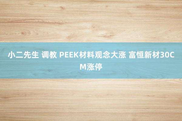 小二先生 调教 PEEK材料观念大涨 富恒新材30CM涨停