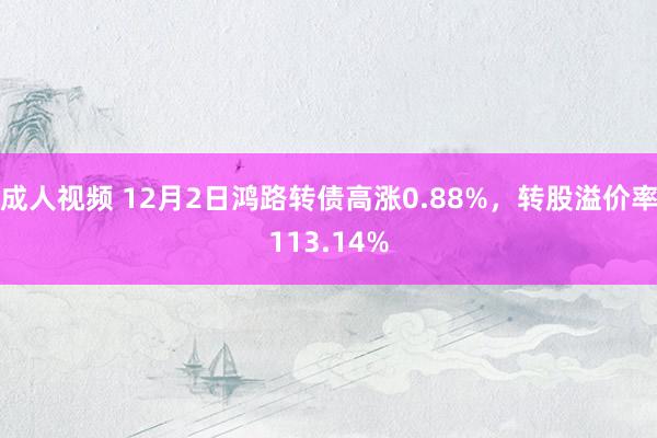 成人视频 12月2日鸿路转债高涨0.88%，转股溢价率113.14%