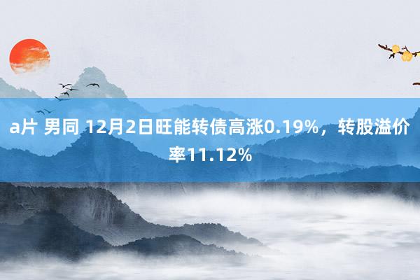 a片 男同 12月2日旺能转债高涨0.19%，转股溢价率11.12%