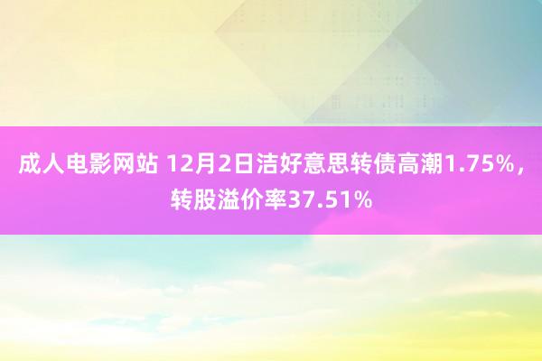 成人电影网站 12月2日洁好意思转债高潮1.75%，转股溢价率37.51%