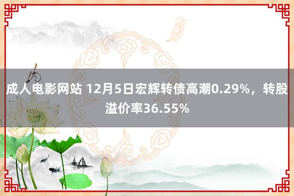 成人电影网站 12月5日宏辉转债高潮0.29%，转股溢价率36.55%