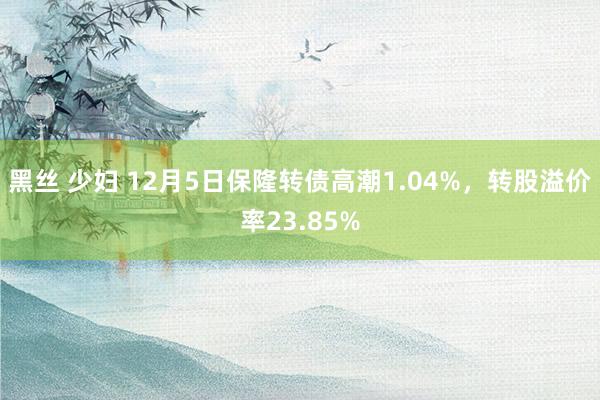 黑丝 少妇 12月5日保隆转债高潮1.04%，转股溢价率23.85%