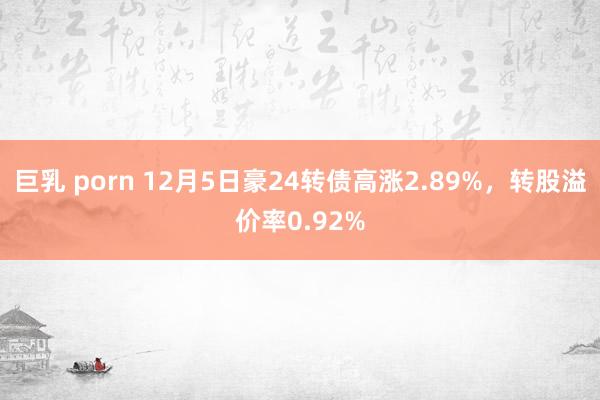 巨乳 porn 12月5日豪24转债高涨2.89%，转股溢价率0.92%