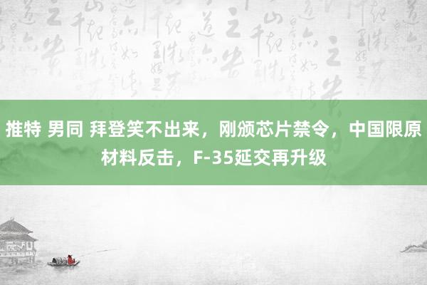 推特 男同 拜登笑不出来，刚颁芯片禁令，中国限原材料反击，F-35延交再升级