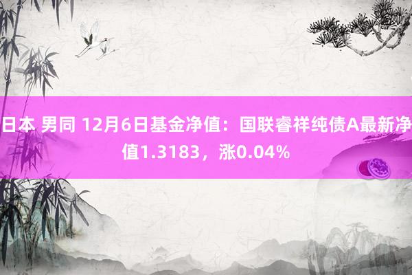 日本 男同 12月6日基金净值：国联睿祥纯债A最新净值1.3183，涨0.04%