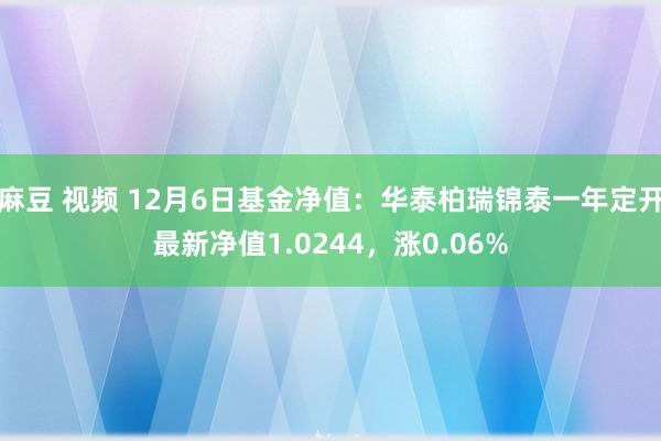 麻豆 视频 12月6日基金净值：华泰柏瑞锦泰一年定开最新净值1.0244，涨0.06%