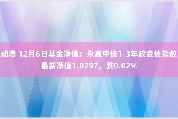 动漫 12月6日基金净值：永赢中债1-3年政金债指数最新净值1.0797，跌0.02%